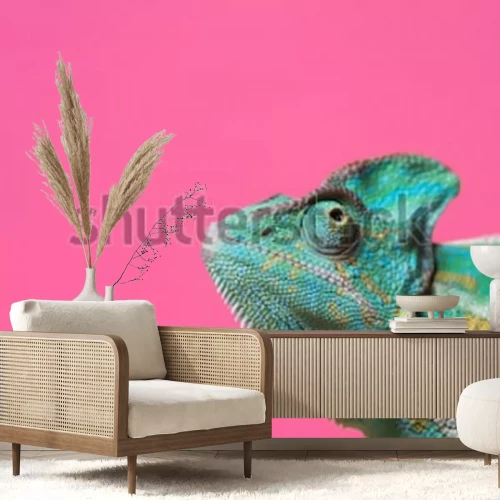 Sticker vergrote weergave van schattige kleurrijke exotische kameleon geïsoleerd op roze