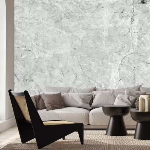 Fotobehang Industrieel grijs marmer