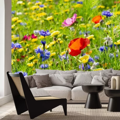 Fotobehang Weide en wilde bloemen