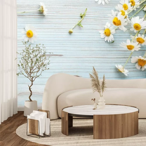 Fotobehang Madeliefjes op planken