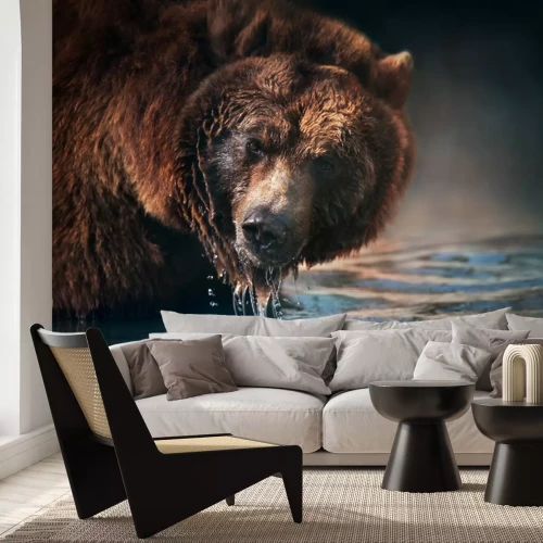 Fotobehang Bruine beer in een bergbeek