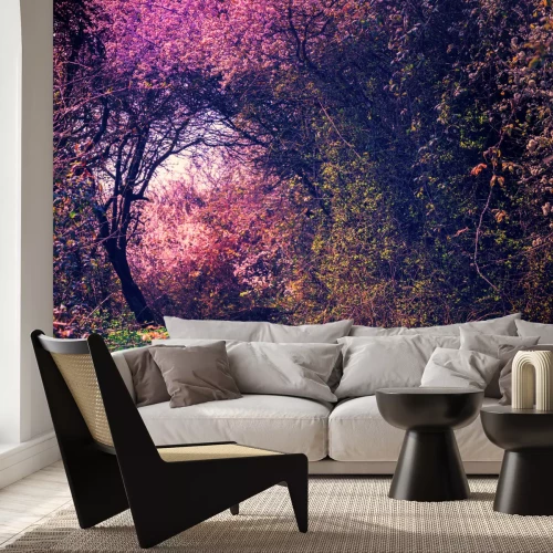 Fotobehang Prachtige natuur in een tuin