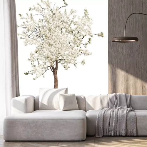 Sticker geïsoleerd witte kleur bloeiende appelboom