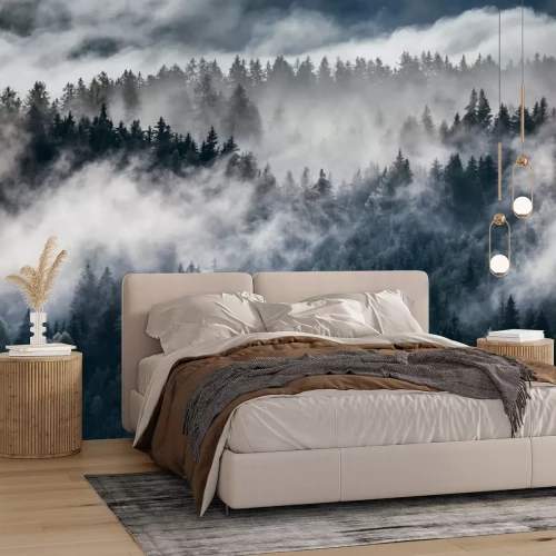 Fotobehang Sparrenbos in mist en wolken