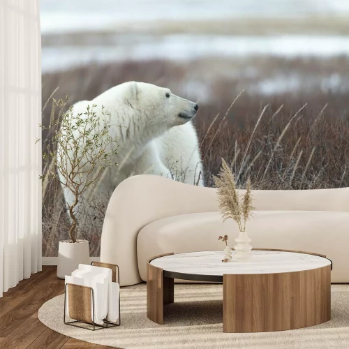 Fotobehang Ijsbeer op een open plek