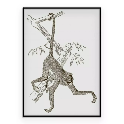 Poster Een tekening van een aap die aan een tak hangt.