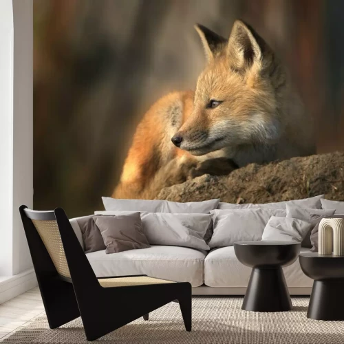 Fotobehang Vos op een steen in de zon