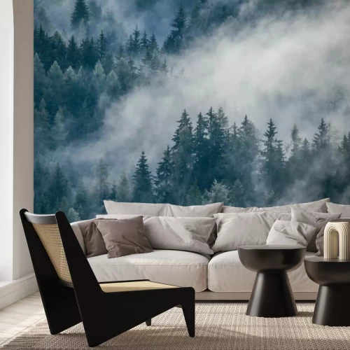 Fotobehang Mist over het sparrenbos