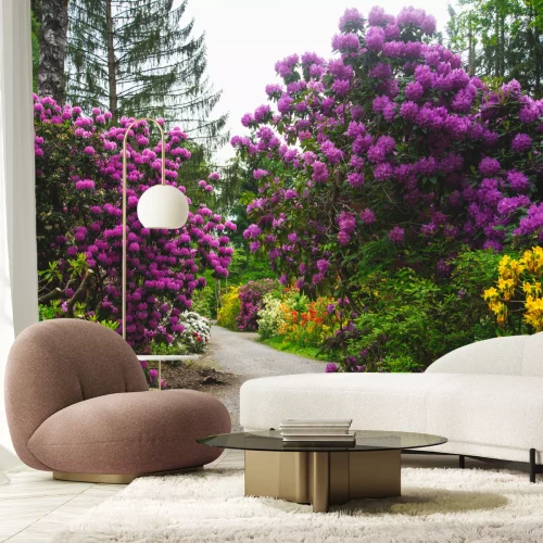 Fotobehang Natuur in een park