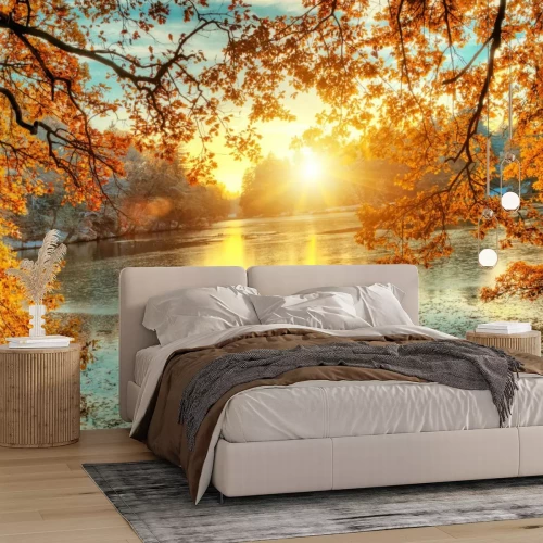 Fotobehang Herfstlandschap zonsopgang tussen de bomen