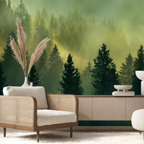 Fotobehang Zonsopgang in het bos