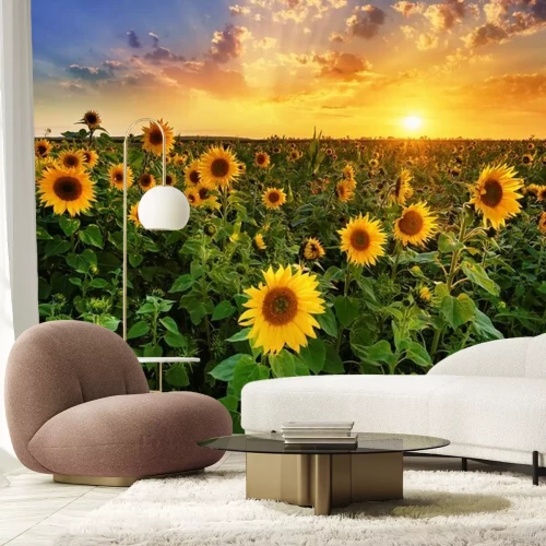 Fotobehang Zonnebloemen zon en wolken