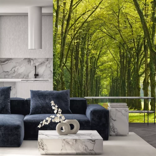 Fotobehang Steegje onder de bomen