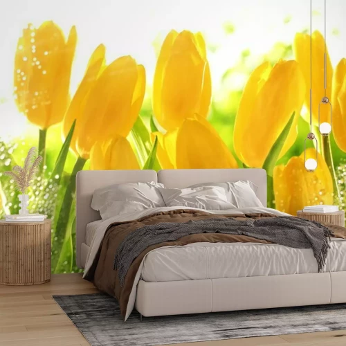 Fotobehang Gele bloemen