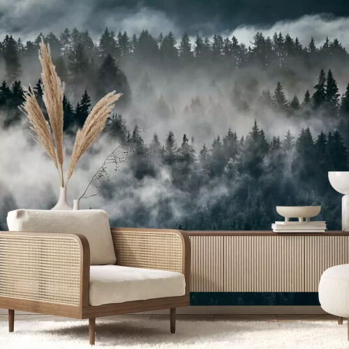 Fotobehang Donker bos achter de wolken