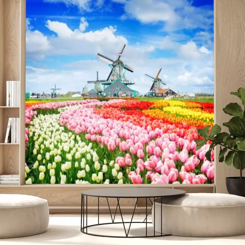 Fotobehang Landschap met tulpen en oer-Hollandse windmolens