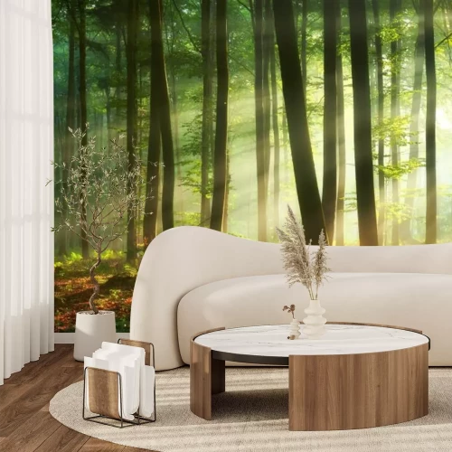 Fotobehang Ochtend in het mistige boslandschap