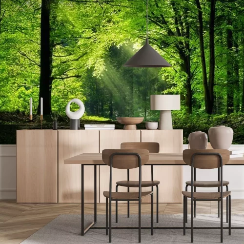 Fotobehang Een pad in het bos in het zonlicht