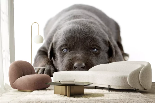 Visualisatie van het product