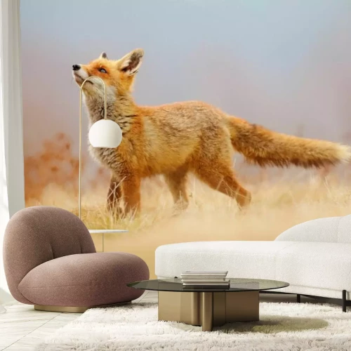 Fotobehang Een rode vos staat in droog gras