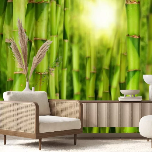 Fotobehang Bamboestengels en zon