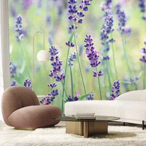 Fotobehang Wilde lavendel