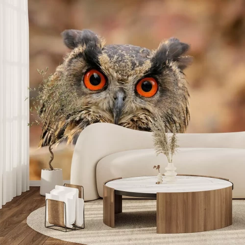 Fotobehang Uil op de achtergrond van een herfstlandschap