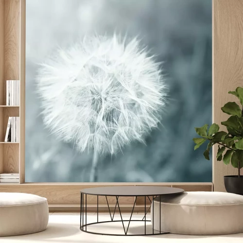 Fotobehang Paardenbloem op grijze abstracte achtergrond