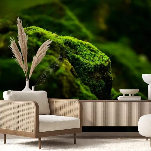 Fotobehang Stenen bedekt met mos