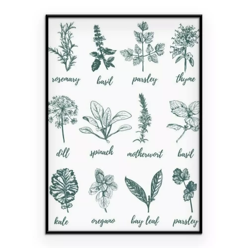 Poster Tekening van gesigneerde kruiden