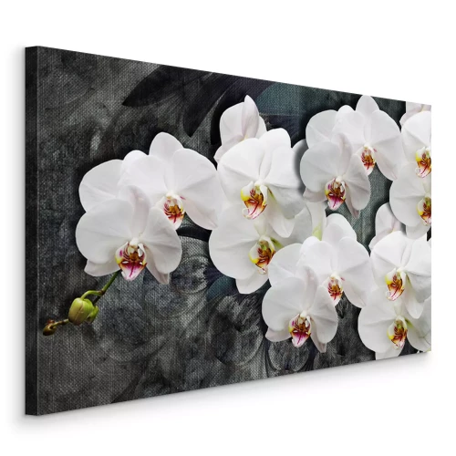 Canvas 3D witte orchideeënbloemen op een donkere achtergrond