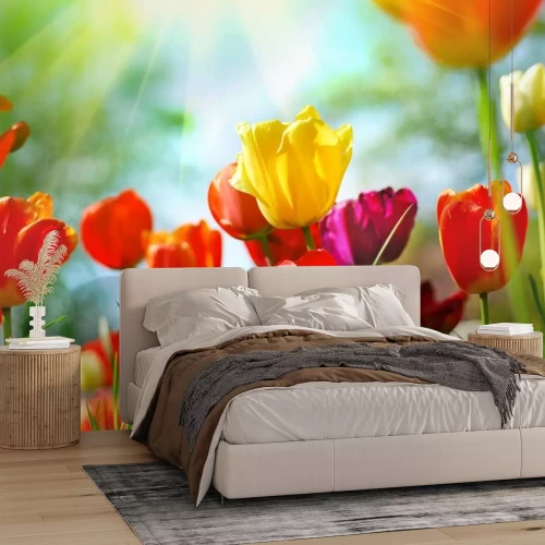 Sticker 3d bloemen in de zon