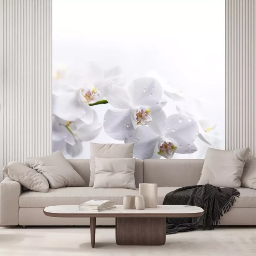 Sticker Witte bloemen in de dauw