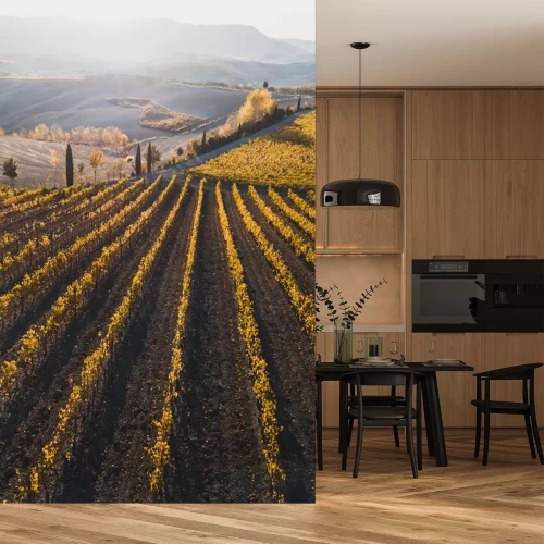 Sticker Italiaanse wijngarden in de herfst