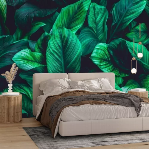 Fotobehang Muur van groene tropische bladeren