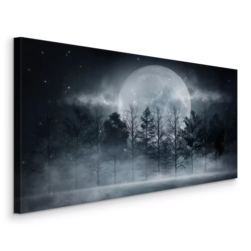 Canvas Dark forest. Gloomy dark scene with trees, big moon, moonlight. Smoke, shadow. Abstract dark, cold street background. Night view.