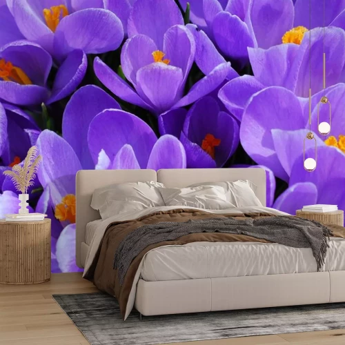 Sticker Lila bloemen close-up