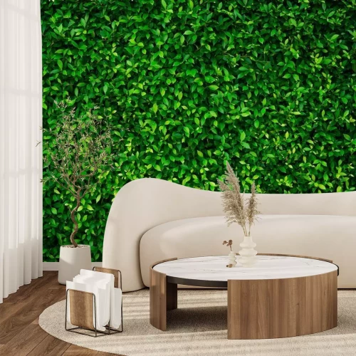 Fotobehang Kleine groene plantjes