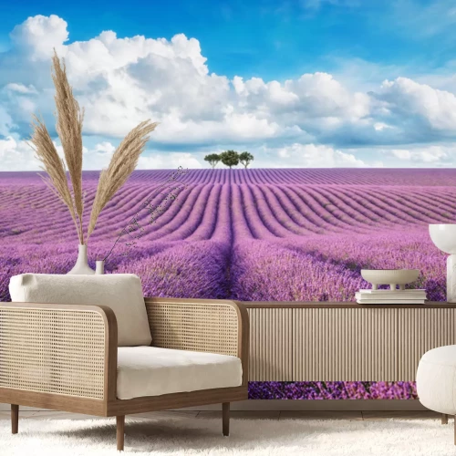 Fotobehang lavender field with tree with cloudy sky