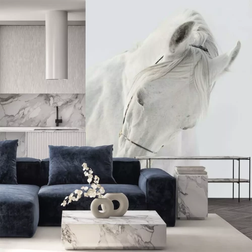 Fotobehang Buste van een wit paard