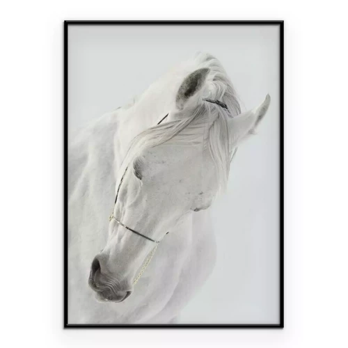 Poster Buste van een wit paard