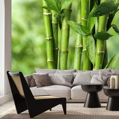 Fotobehang Groene bamboetakken van dichtbij