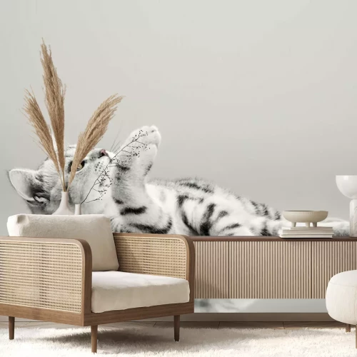 Fotobehang One grey stripy beautiful little kitten