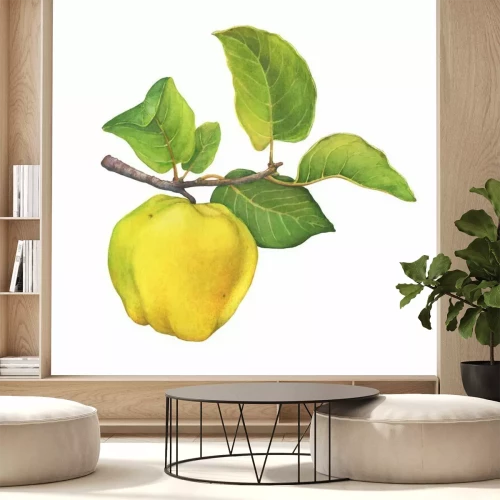 Sticker A branch of ripe yellow quince (cytonia) fruit with green leaves. Hand drawn watercolor painting illustration isolated on white background.