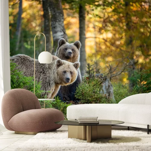 Fotobehang Bruine beren in het herfstbos