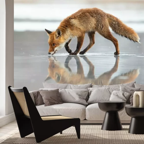 Fotobehang Weerspiegeling van de vos in het bevroren meer