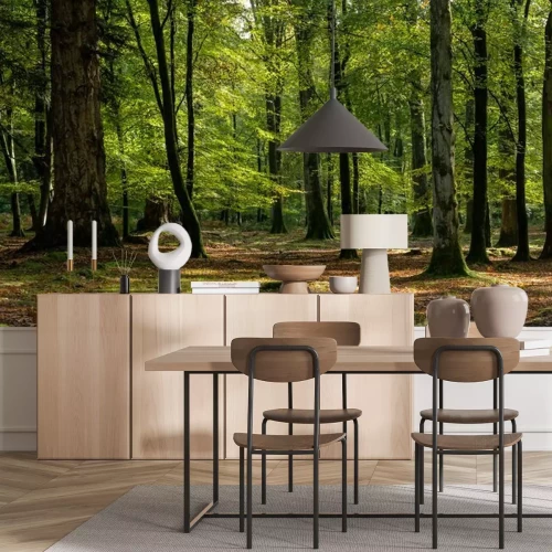 Fotobehang Boslandschap in de vroege herfst