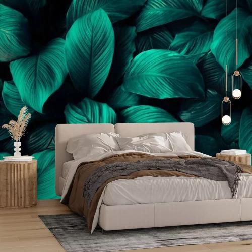 Fotobehang Spathiphyllum cannifolium