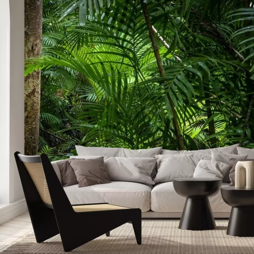 Fotobehang Tropical jungle, Tropical rainforest with different trees.