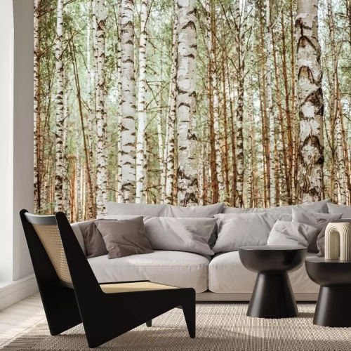 Fotobehang Een realistisch bos vol berken